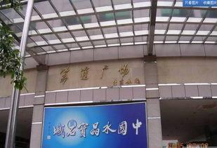 荔湾广场爆料视频大全最新,揭秘广场最新动态与热门事件！