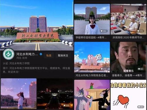 爆料河北学校视频大全下载,精彩瞬间一网打尽